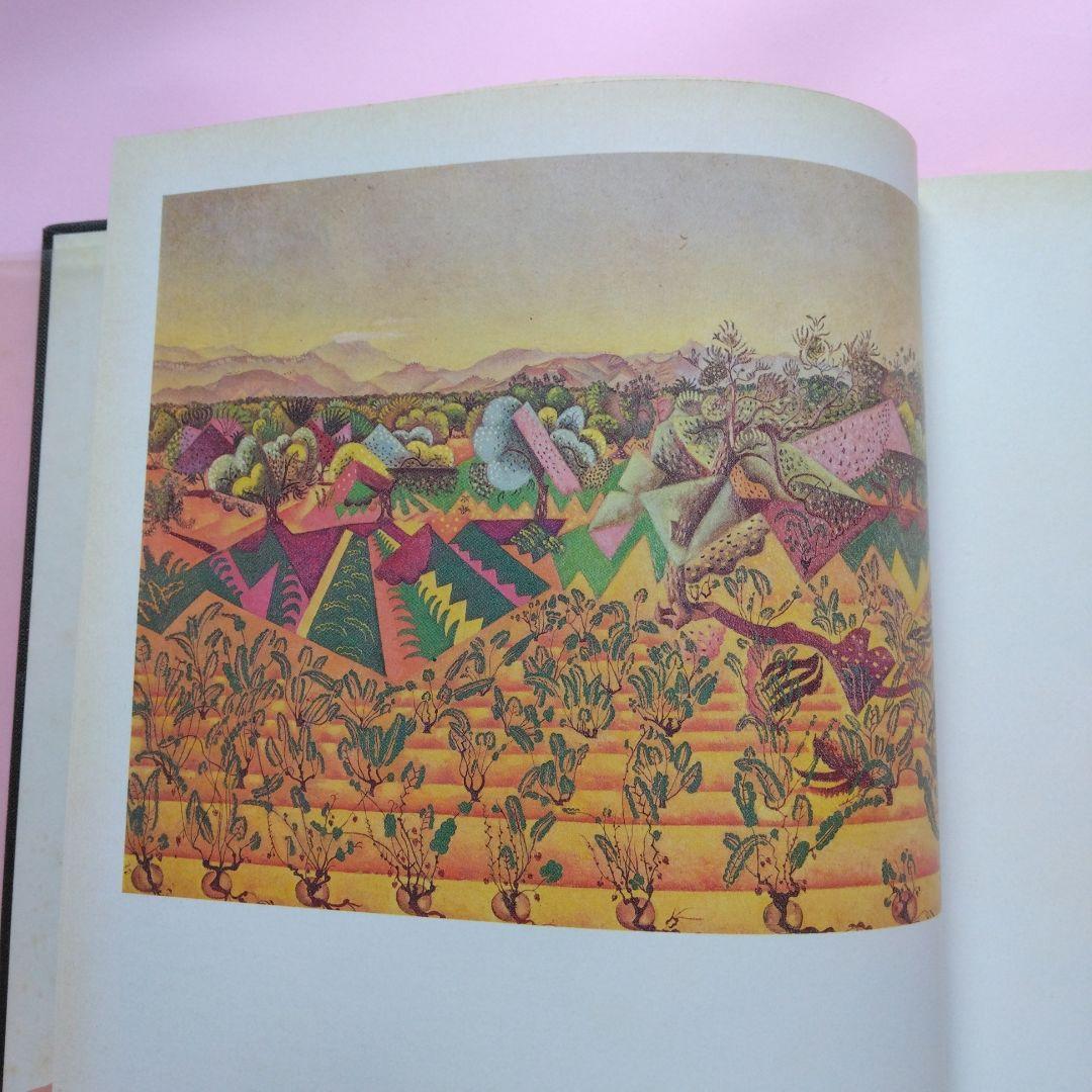 JOAN MIRO PEINTURE=POESIE ジョアン・ミロ画集 仏語