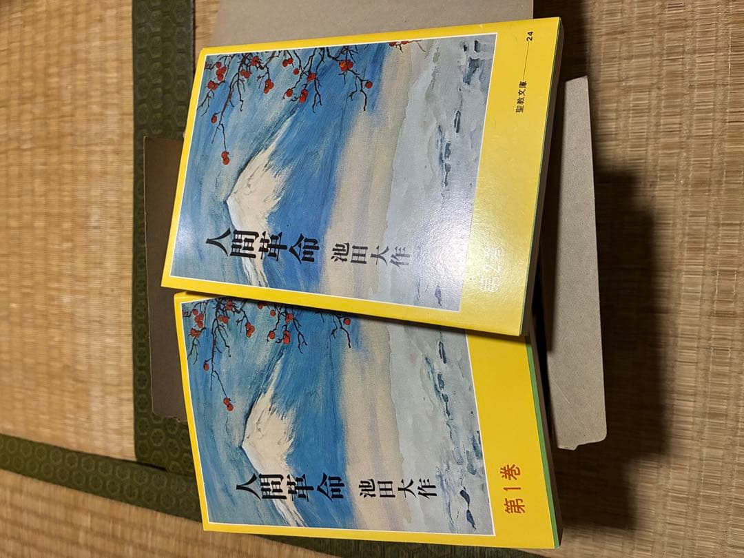 人間革命 池田大作 聖教新聞社 10巻セット