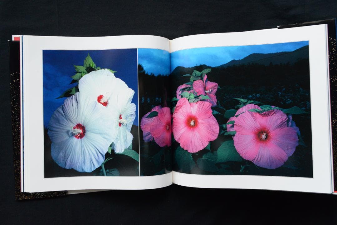 【花狩】山村雅昭写真集　1998年