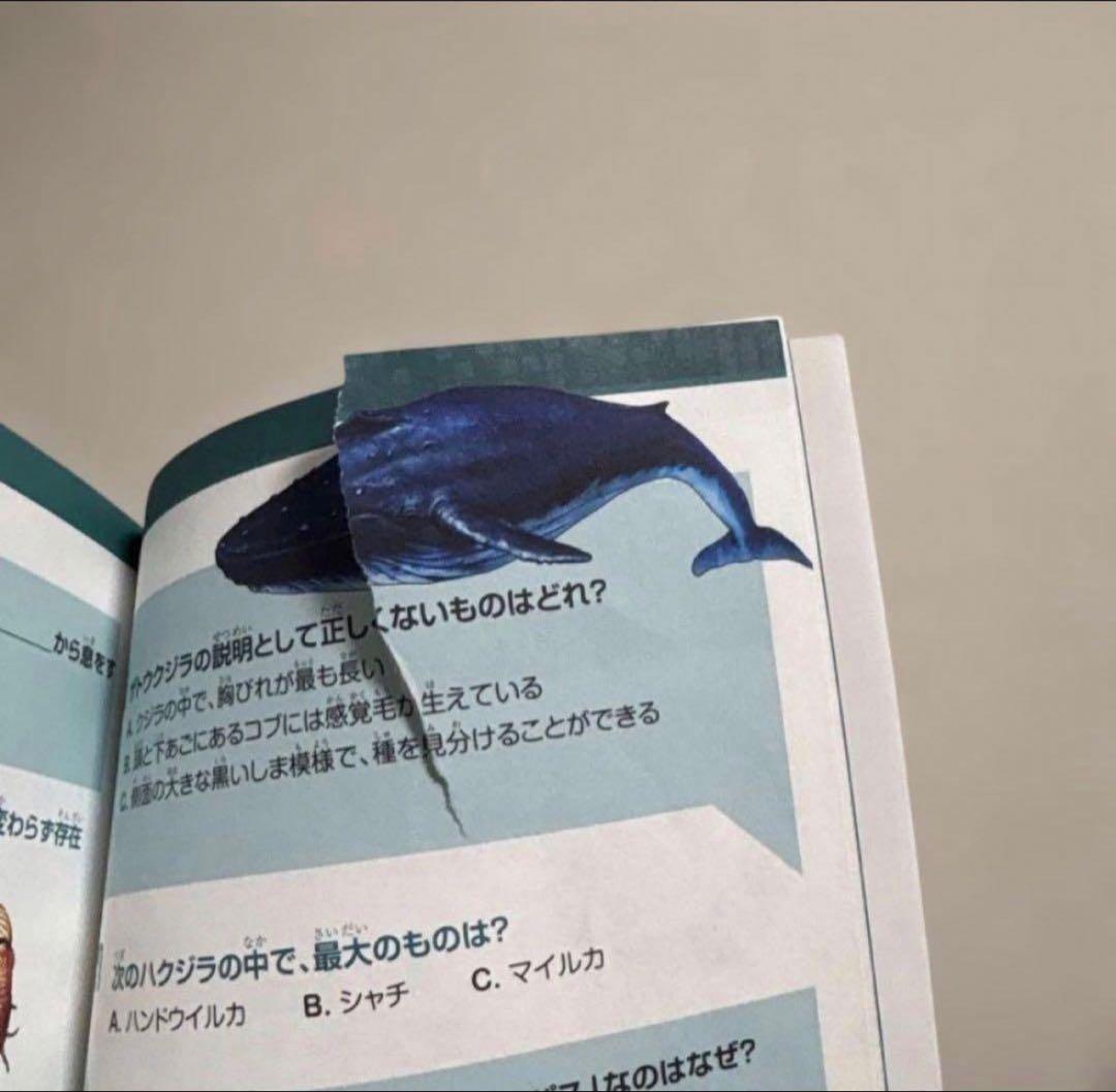 どっちが強い！？ +他　角川まんが科学シリーズ 30冊セット　まとめ売り