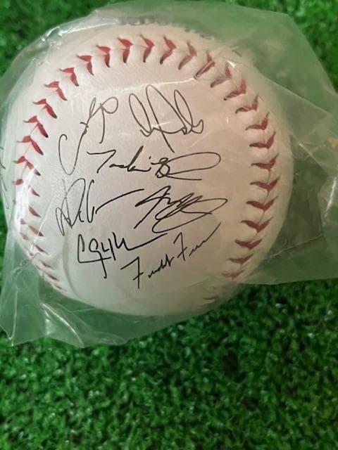 大谷翔平MLB2025WSチャンピオン記念サイン入ボールローリング社US限定品