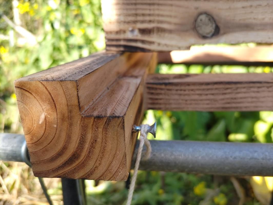 花芽4本付きキンリョウヘン➕日本蜜蜂 重箱式巣箱4段➕スノコ