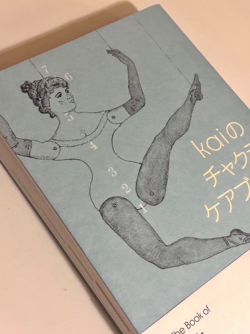 【美品】kaiのチャクラケアブック エムエムブックス