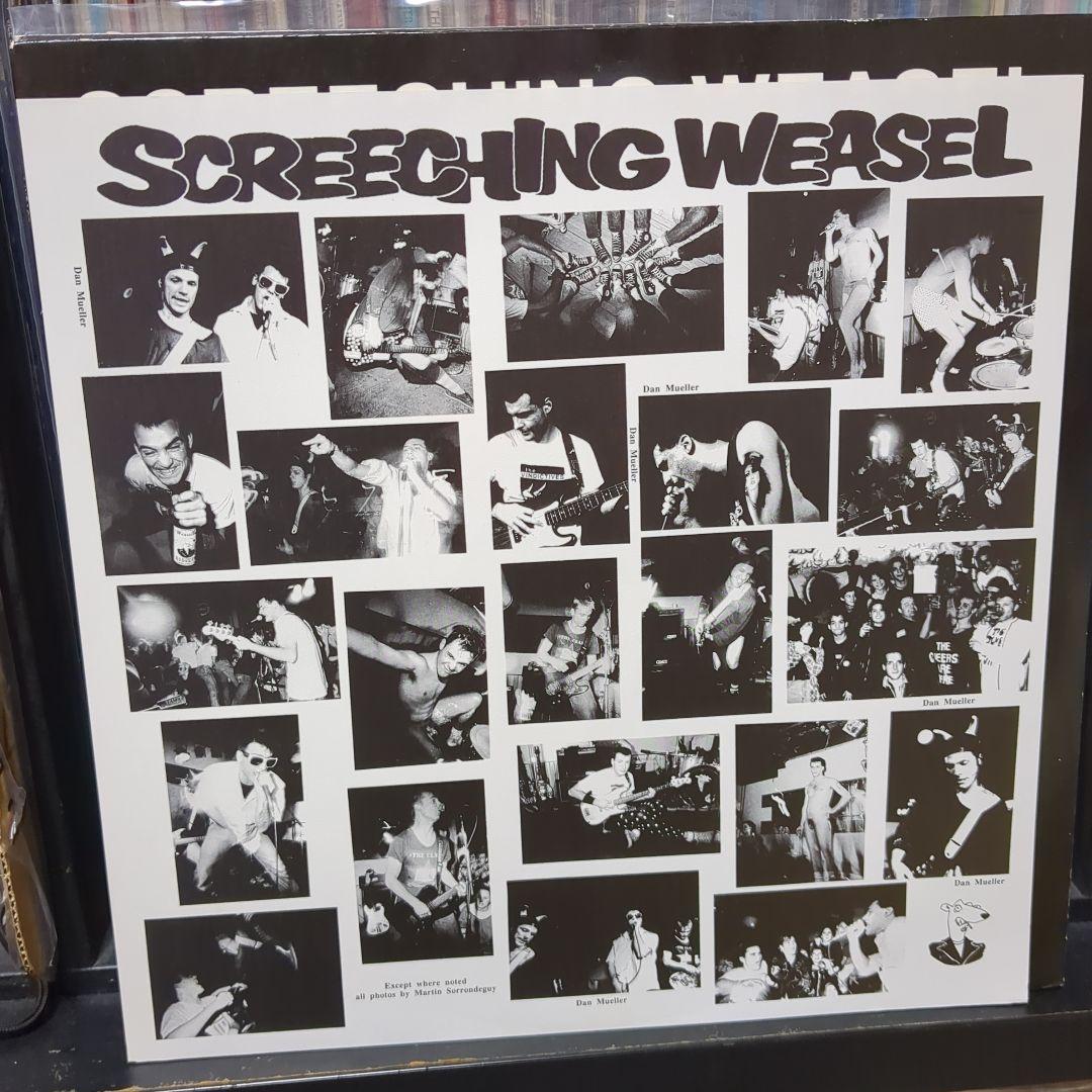 Screeching Weasel 「Wiggle 」レコード