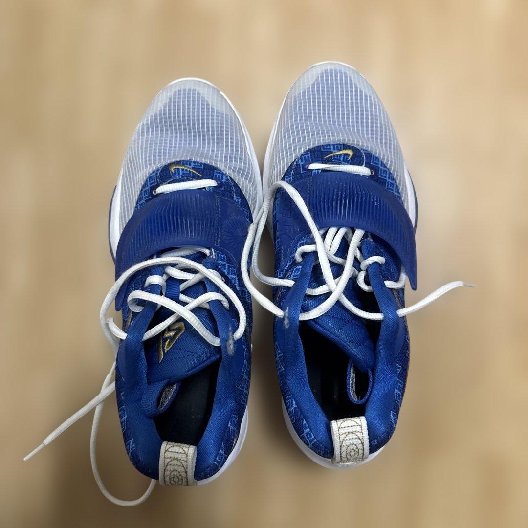 NIKE ズームフリーク3 ID
