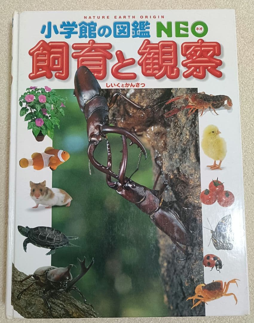小学館の図鑑NEO 12冊+21世紀こども百科1冊 全13冊セット