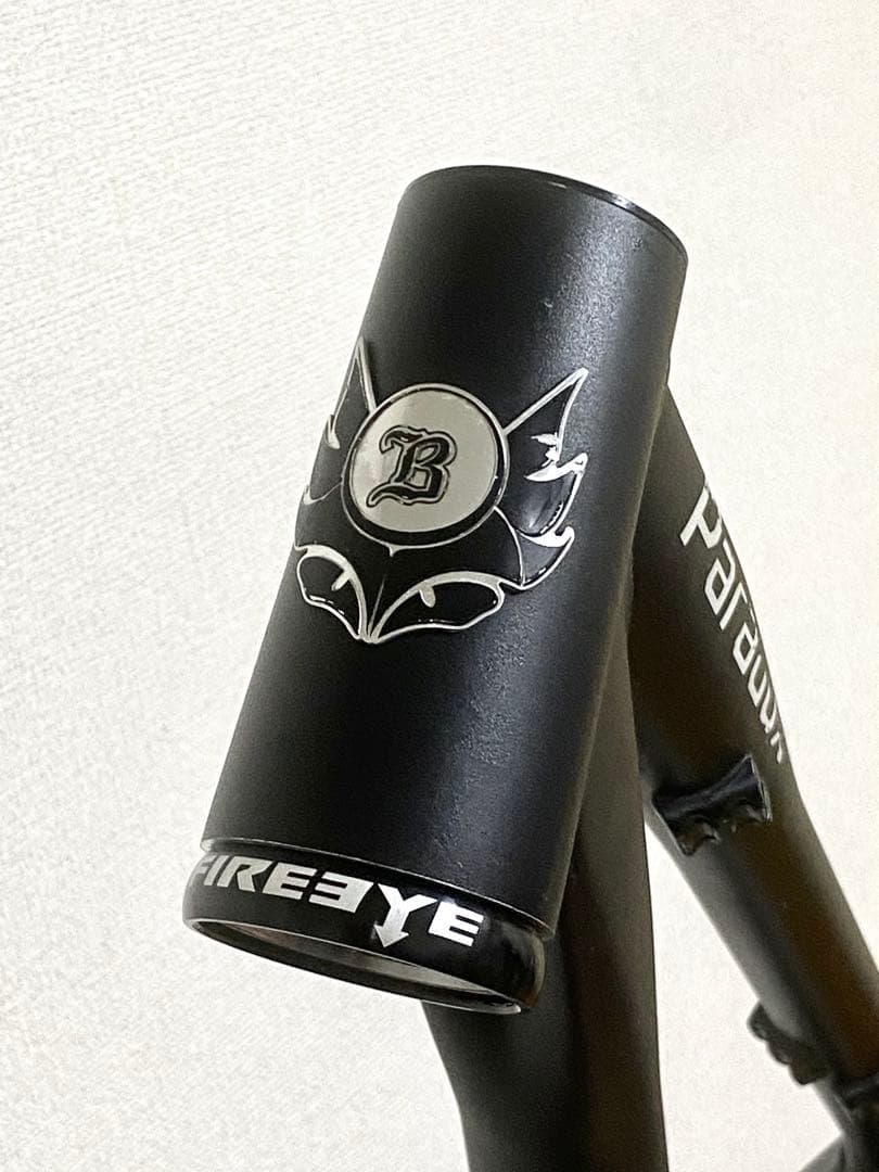 BANSHEE paradox v2 29er MTB フレーム Mサイズ