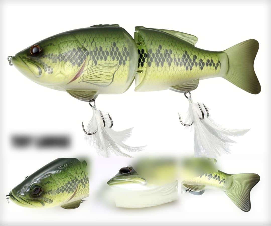 トイラージ　deps コードネームバス SS メンバー限定 新品 デプス