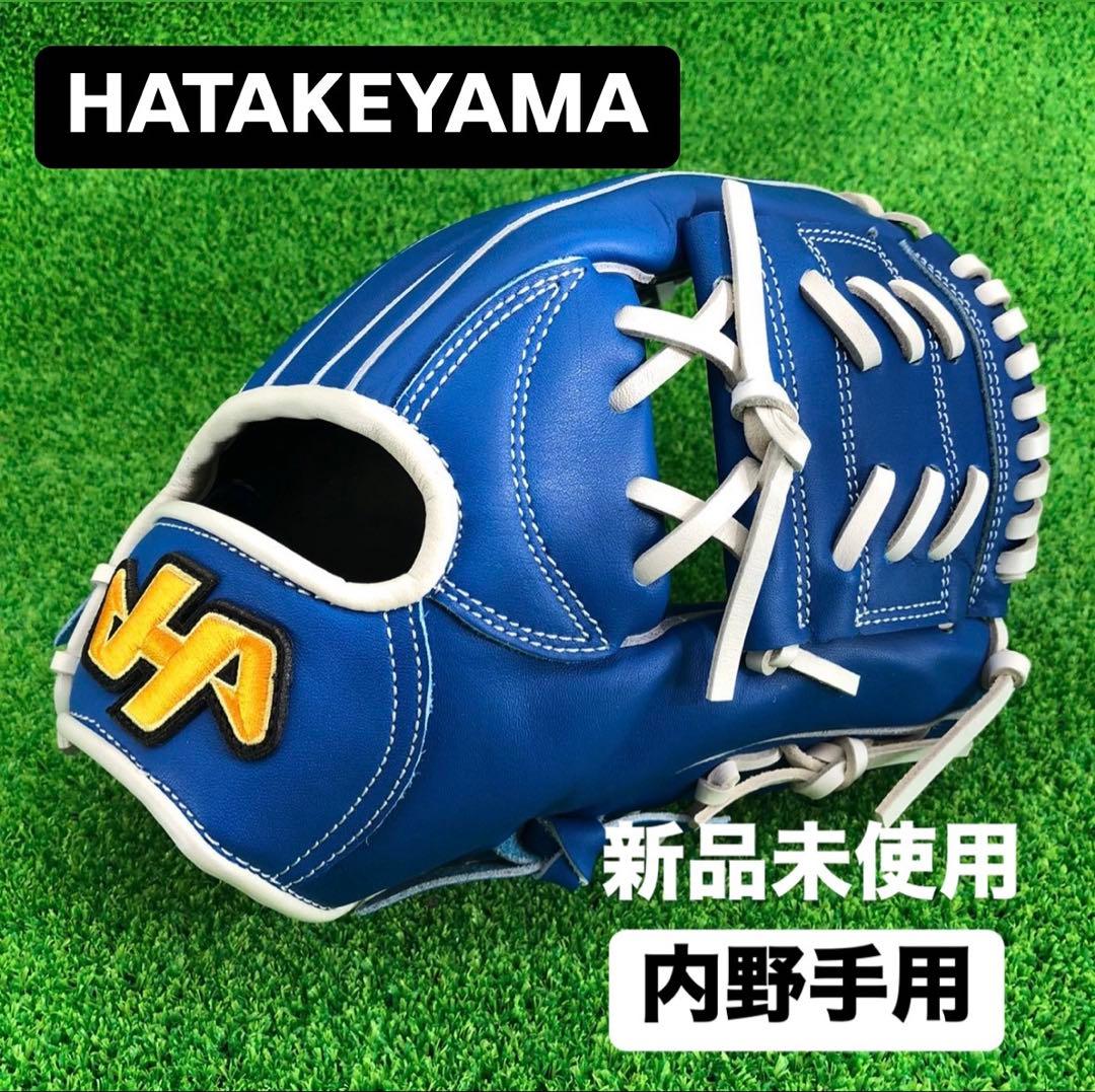 ハタケヤマ HATAKEYAMA 492 内野手用 硬式グローブ 右投げ492