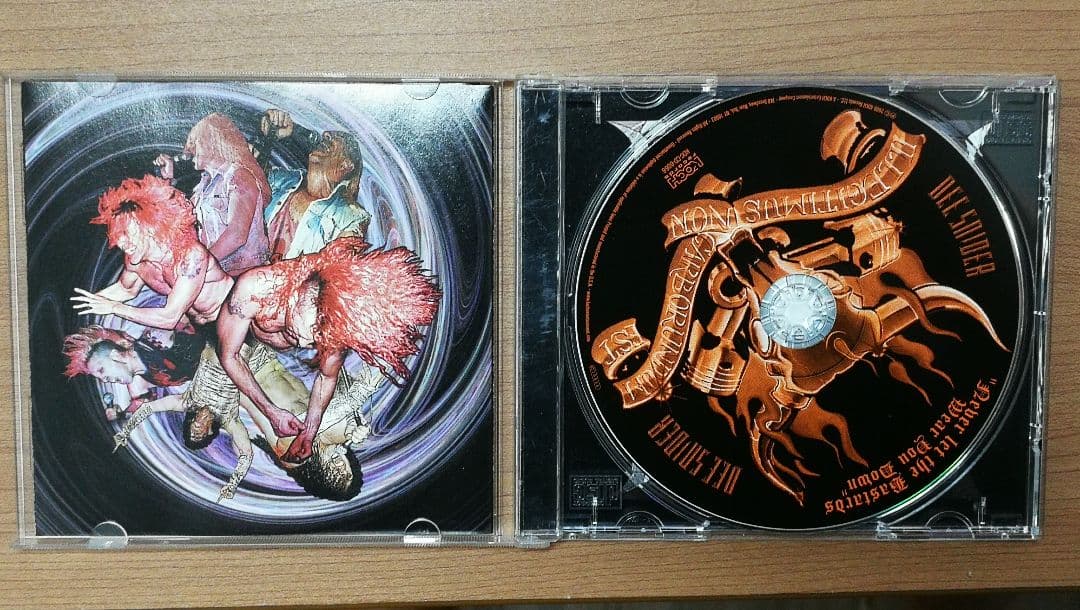希少！DEE SNIDER / Never Let the Bastards〜
