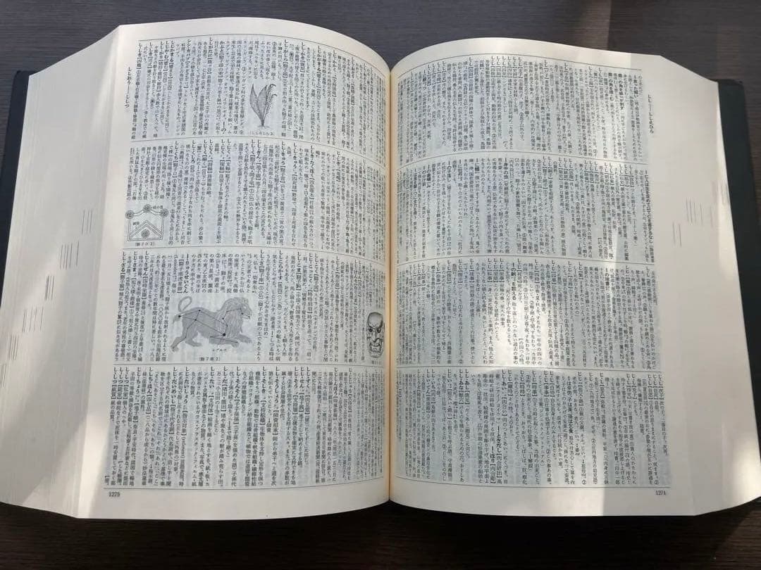 【美品】広辞苑 第七版 新村出編 付録付き 中身新品 岩波書店