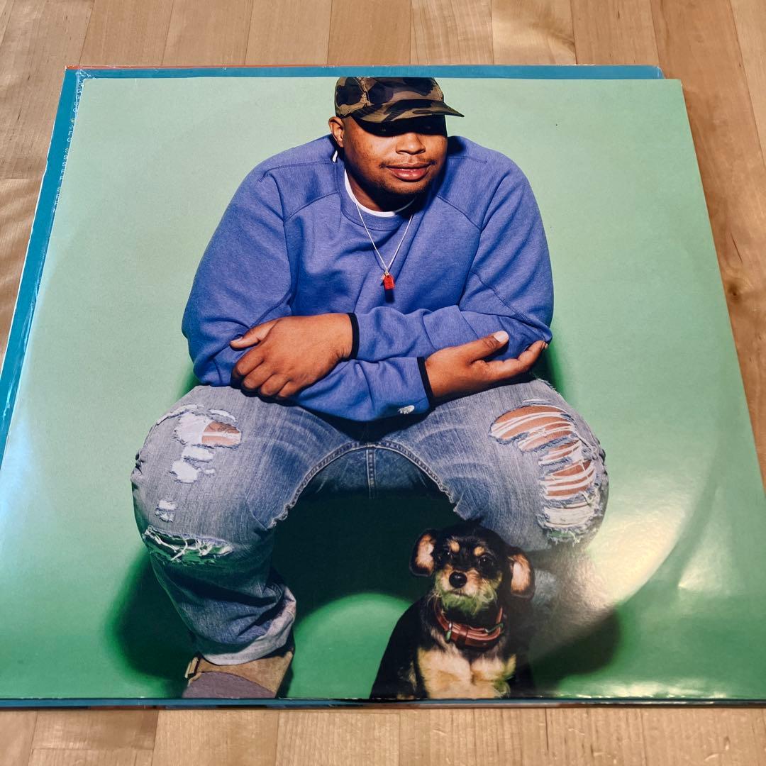 The Internet - Ego Death 2LP レコード