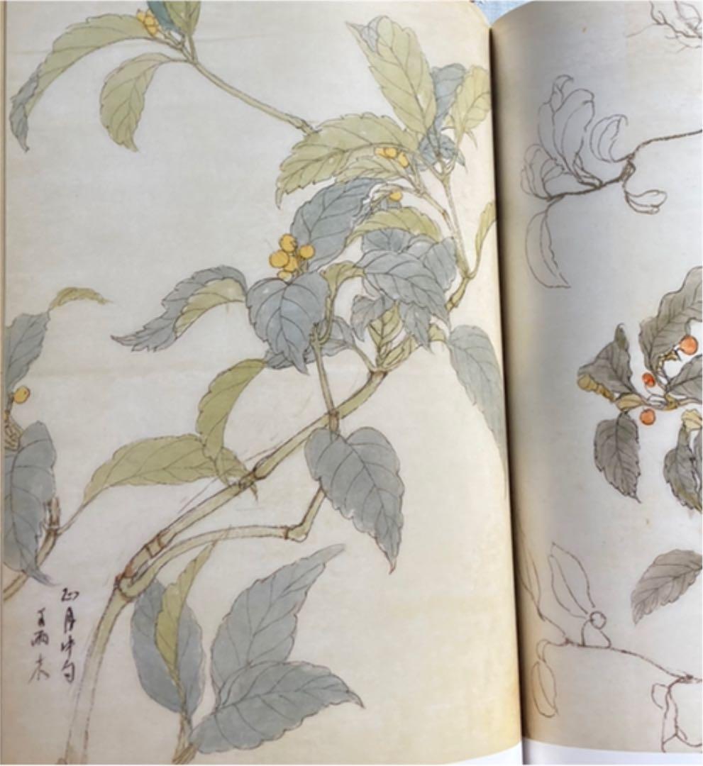 草花下絵図譜
