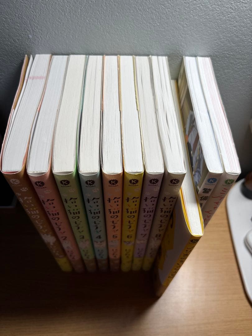 拾い猫のモチャ 全巻 +3冊