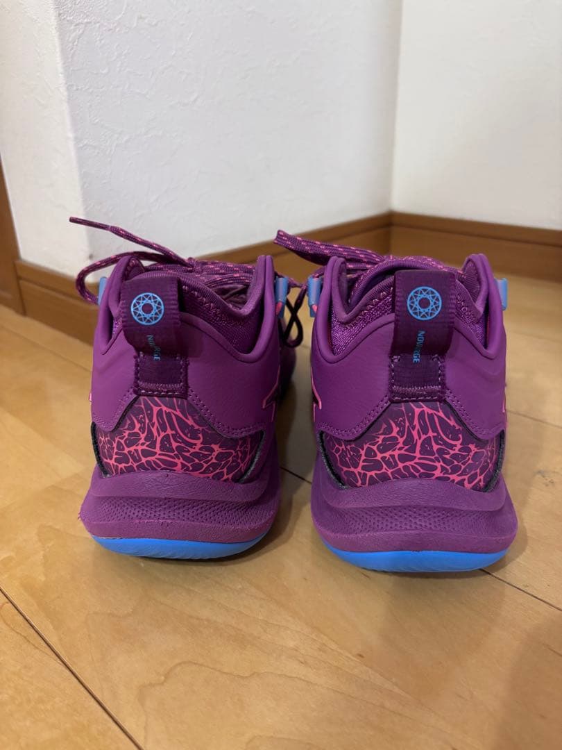 ノヴァサージロー2 NOVA SURGE low2