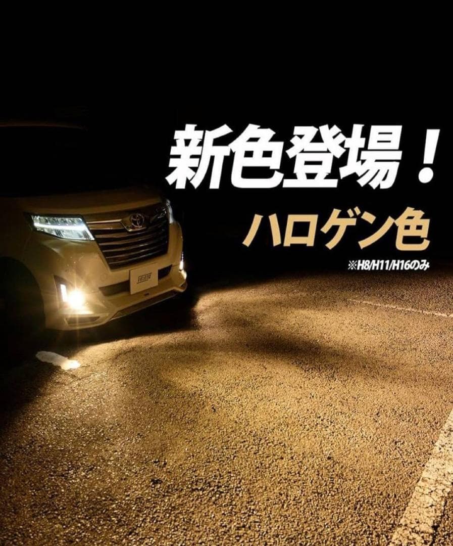 VELENO ヴェレーノフォグ ULTIMATE 11800lm ハロゲン色