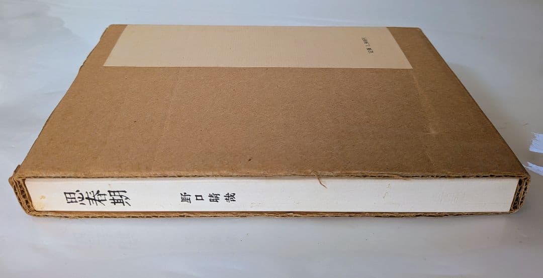 思春期 野口晴哉　カバー付き