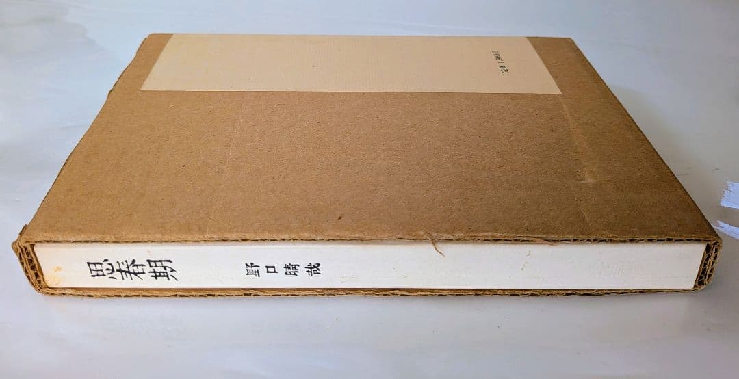 思春期 野口晴哉　カバー付き