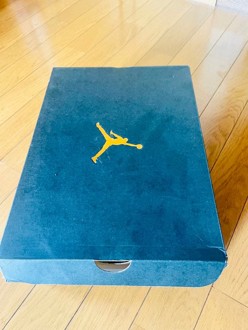 シューズ(男性用) AIR JORDAN 9 LOW