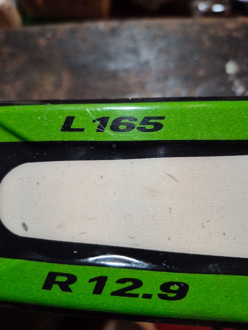Elan Race Sir スキー 165cm