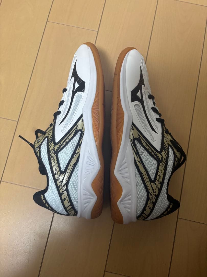 ミズノ　Thunder blade3 バレーシューズ 25.0cm