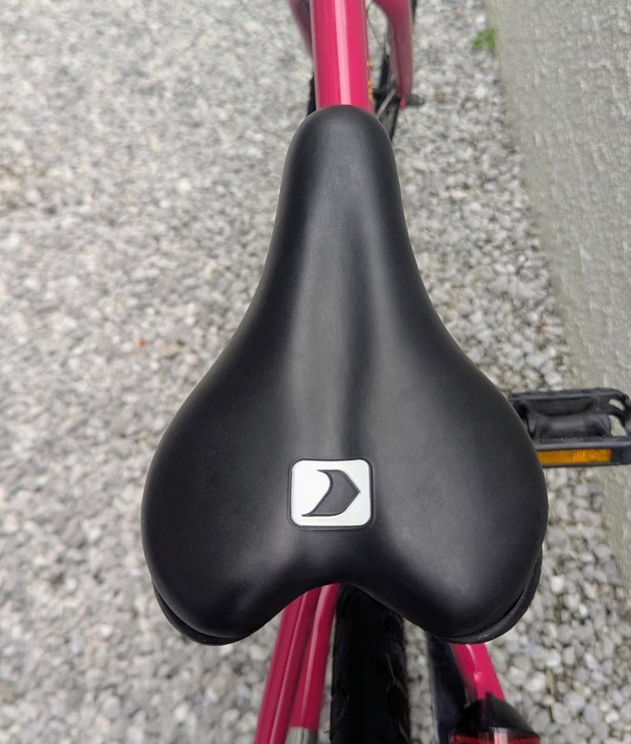 LOUIS GARNEAU 「ルイガノ」 K18 LITE