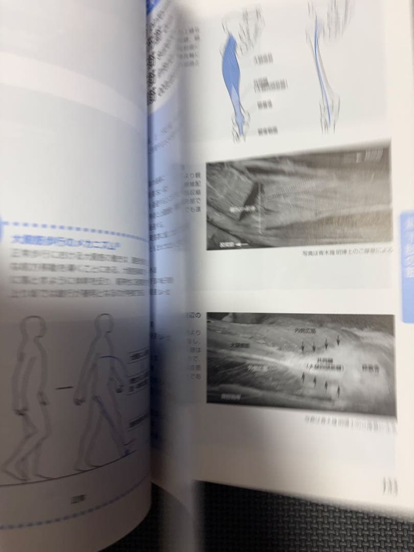 整形外科運動療法ナビゲーション＆機能解剖学的触診技術セット　理学療法士　作業療法