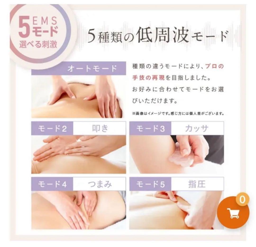 ア*ラ様 NIPLUX WAISTUPREMS（ウエスタプレミス） 1回のみ試用