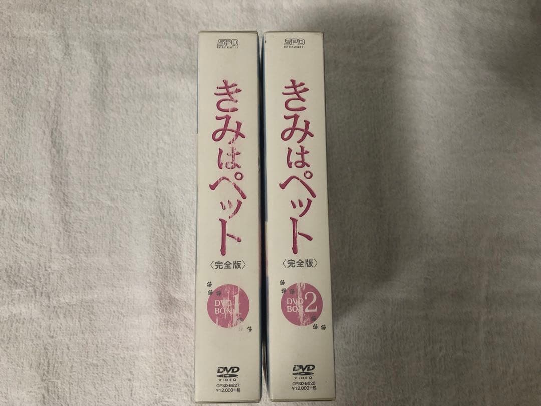 きみはペット 完全版 DVD BOX 志尊淳