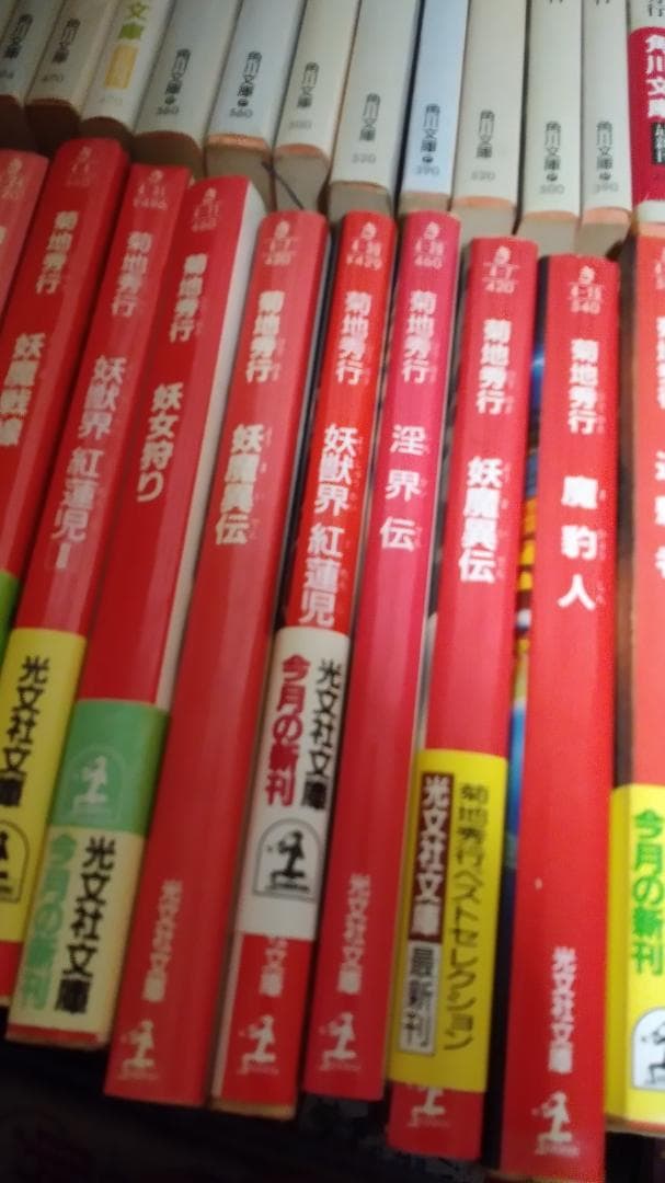 期間限定お値下げ！早い者勝ち！　菊池秀行さん　１１２冊セット