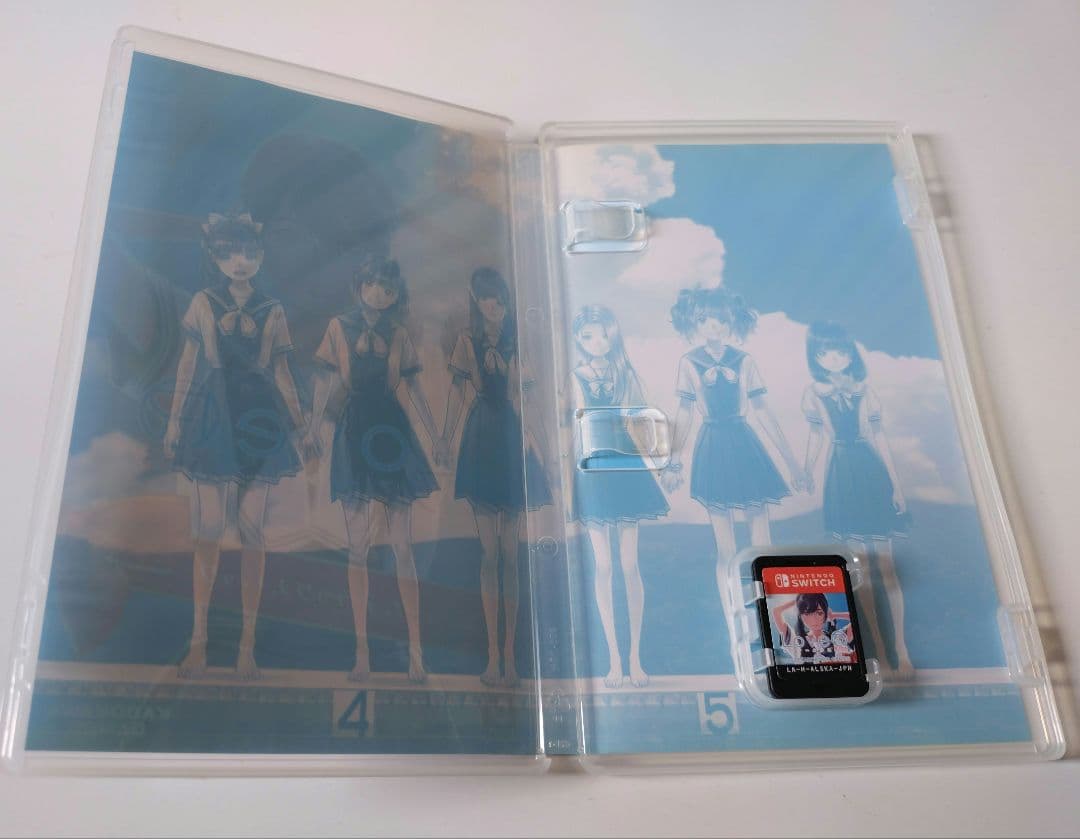 【switch】LoveR Kiss コスチュームデラックスパック