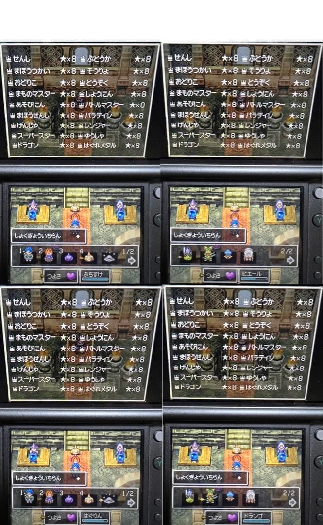 【全員LV99・全職業マスター‼️】ドラゴンクエストVI DS 3DS