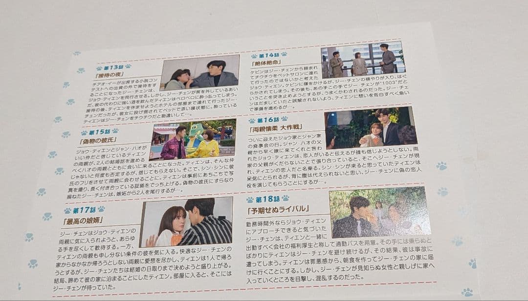 ネコの手も借りたい恋 DVD-SET1と2のセット！