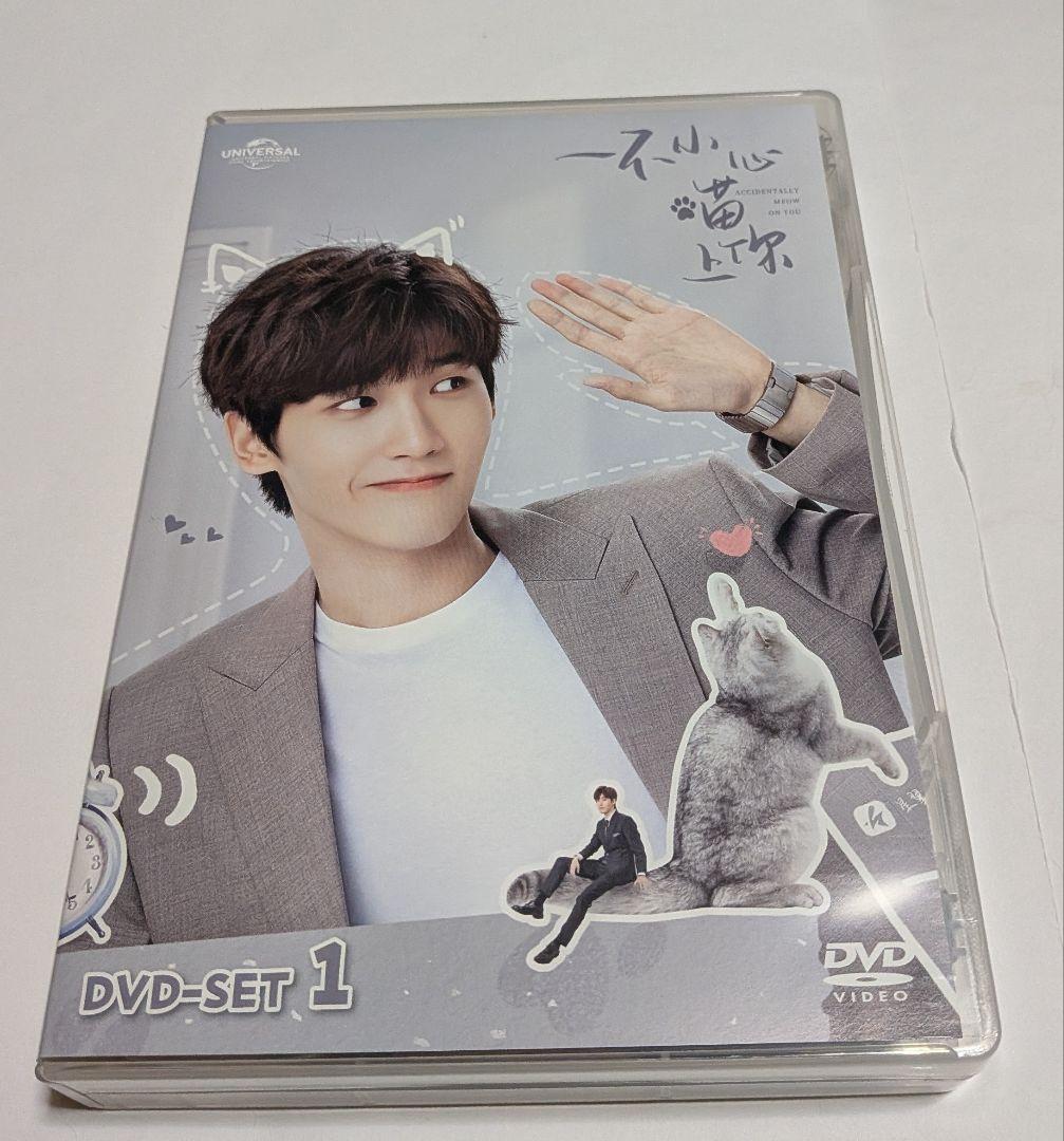 ネコの手も借りたい恋 DVD-SET1と2のセット！