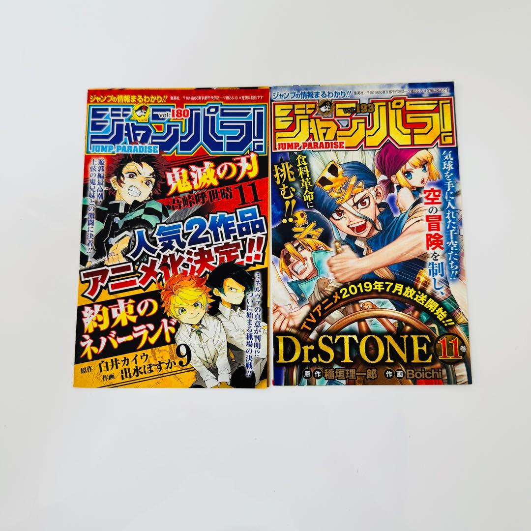 ジャンプパラダイス 大量まとめ売り 約52冊セット ジャンパラ ワンピース