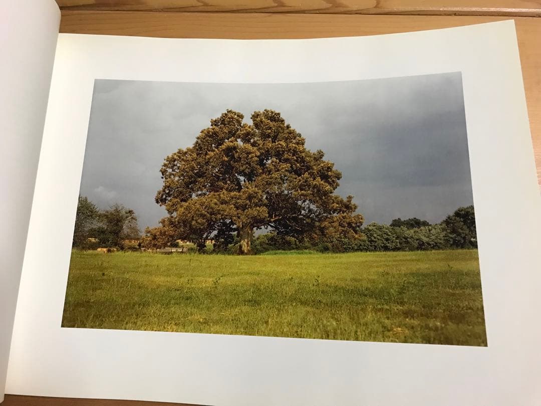 名作　William Eggleston Election Eve