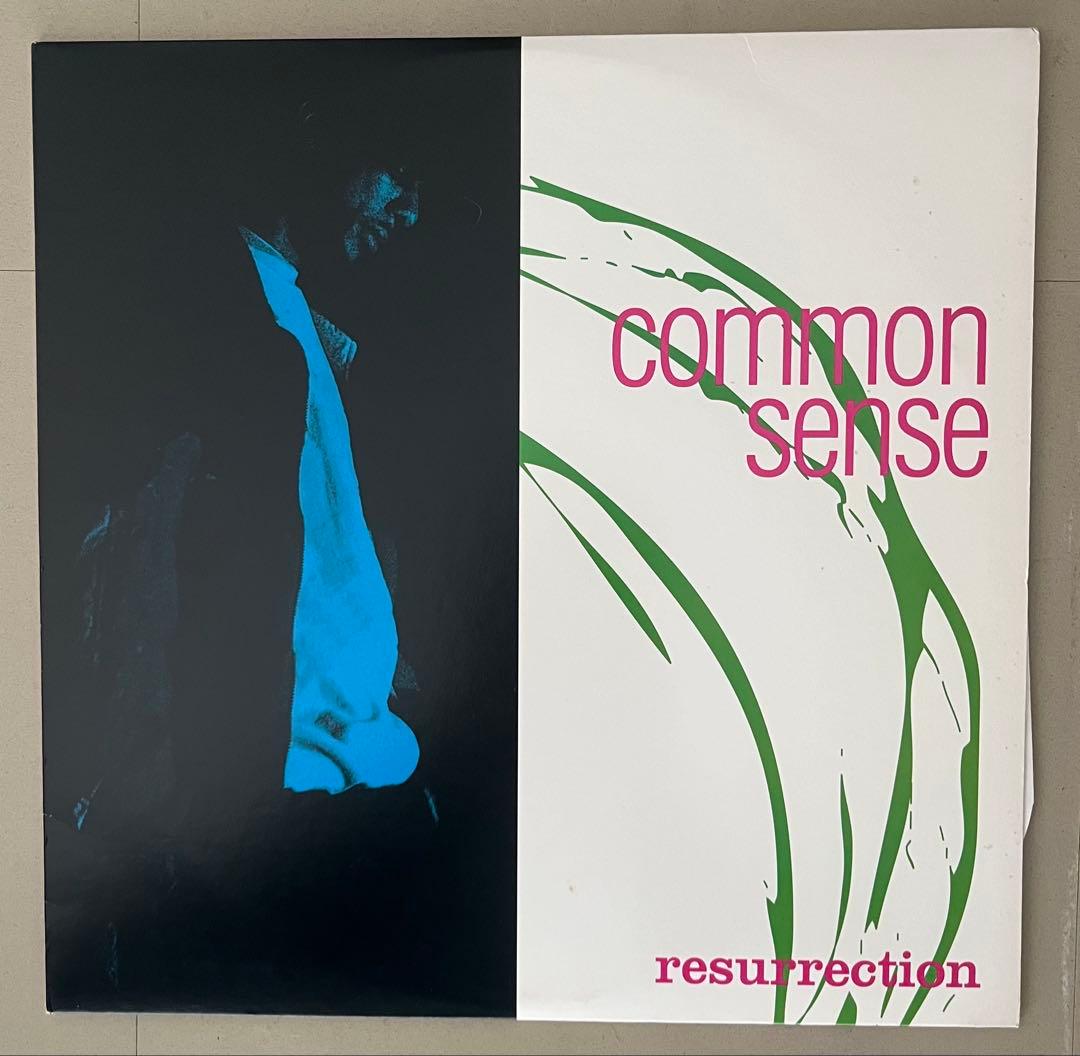 美品‼️Common Sense アナログ2枚セット