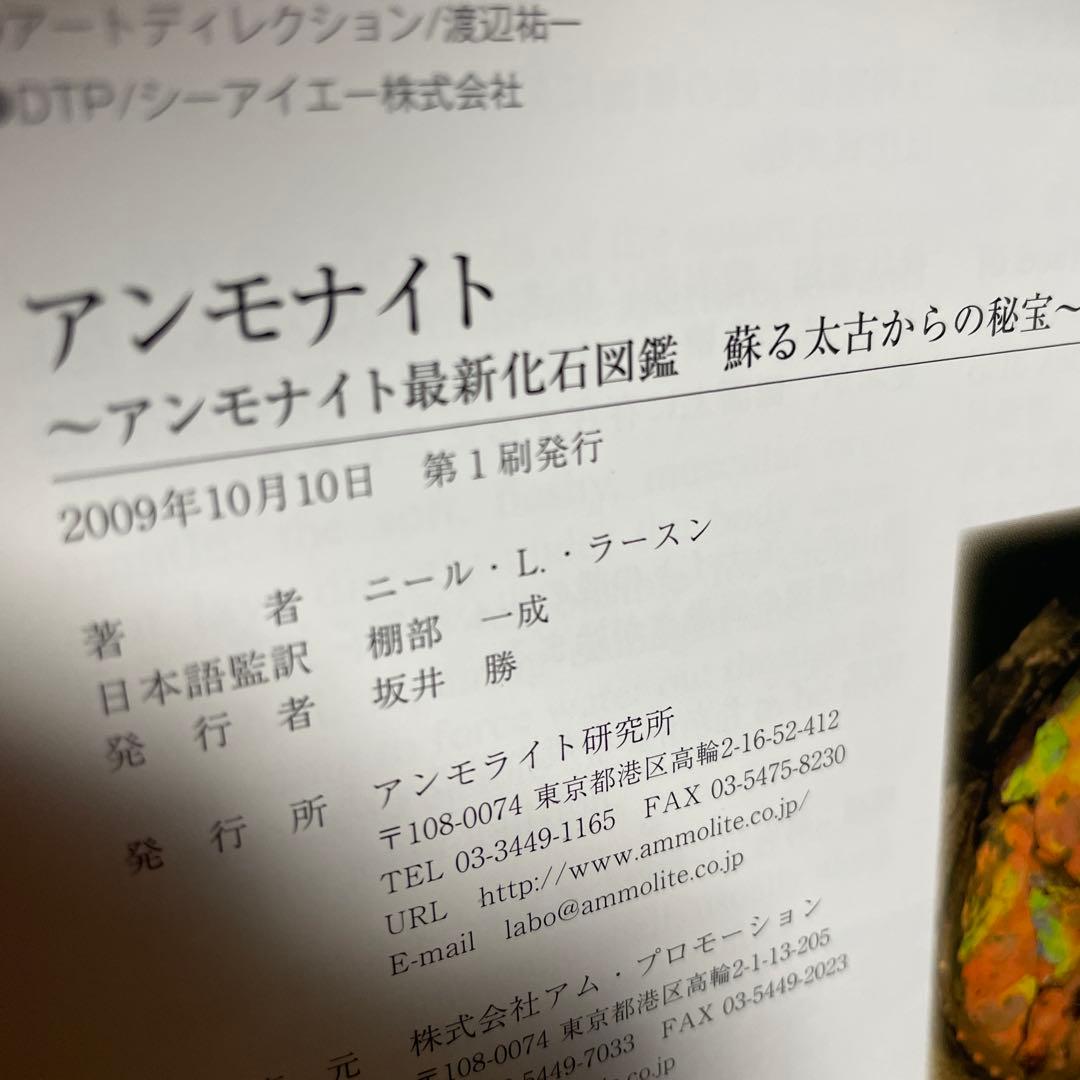 アンモナイト : アンモナイト化石最新図鑑 : 蘇る太古からの秘宝