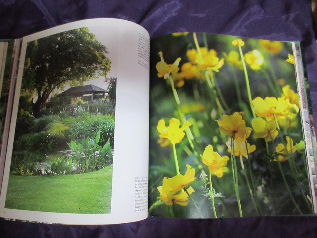 ベス　チャトーの庭の生活の年（　写真集　英語）