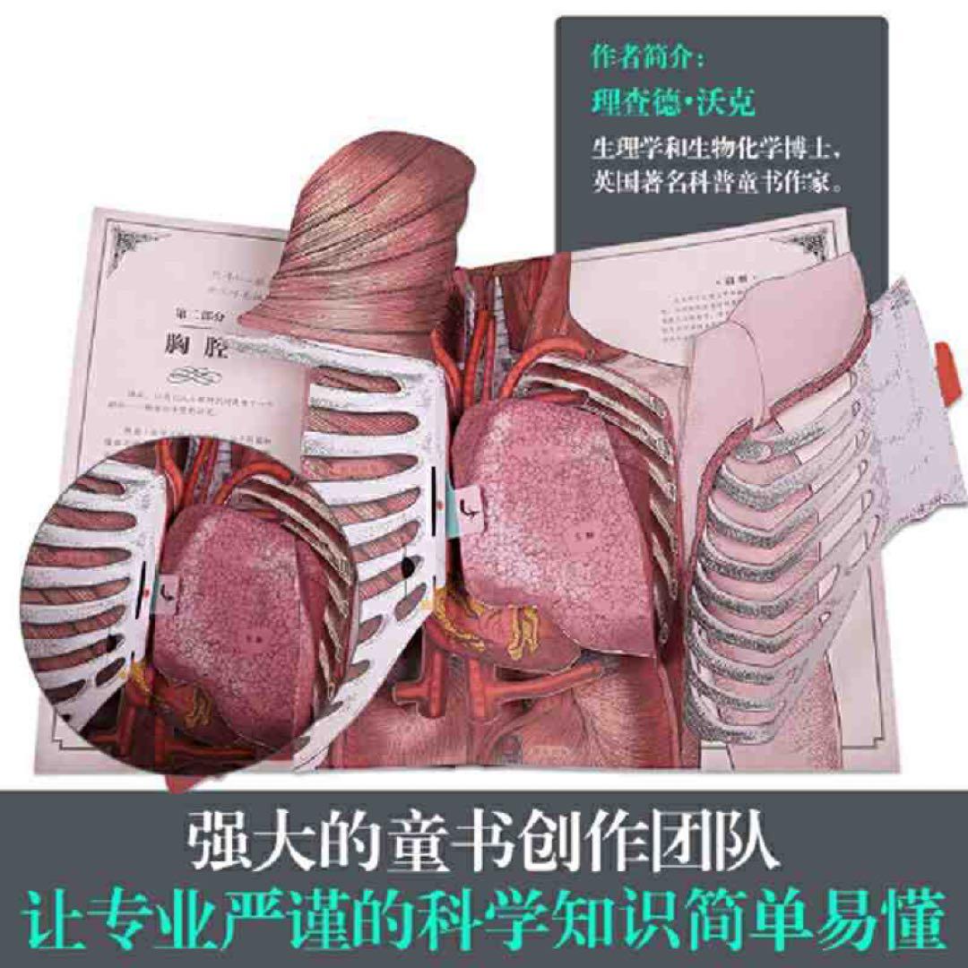 人体立体书 解剖探索身体运转奥秘(我们的身体高阶版)百科书  中文书
