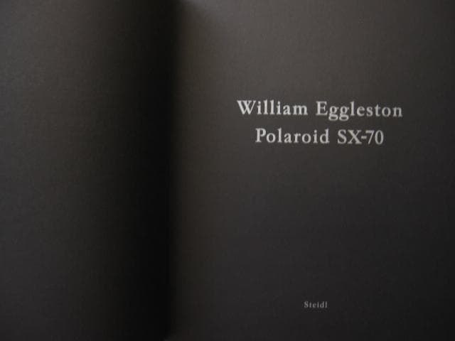 アート・デザイン・音楽 William Eggleston Polaroid SX-70