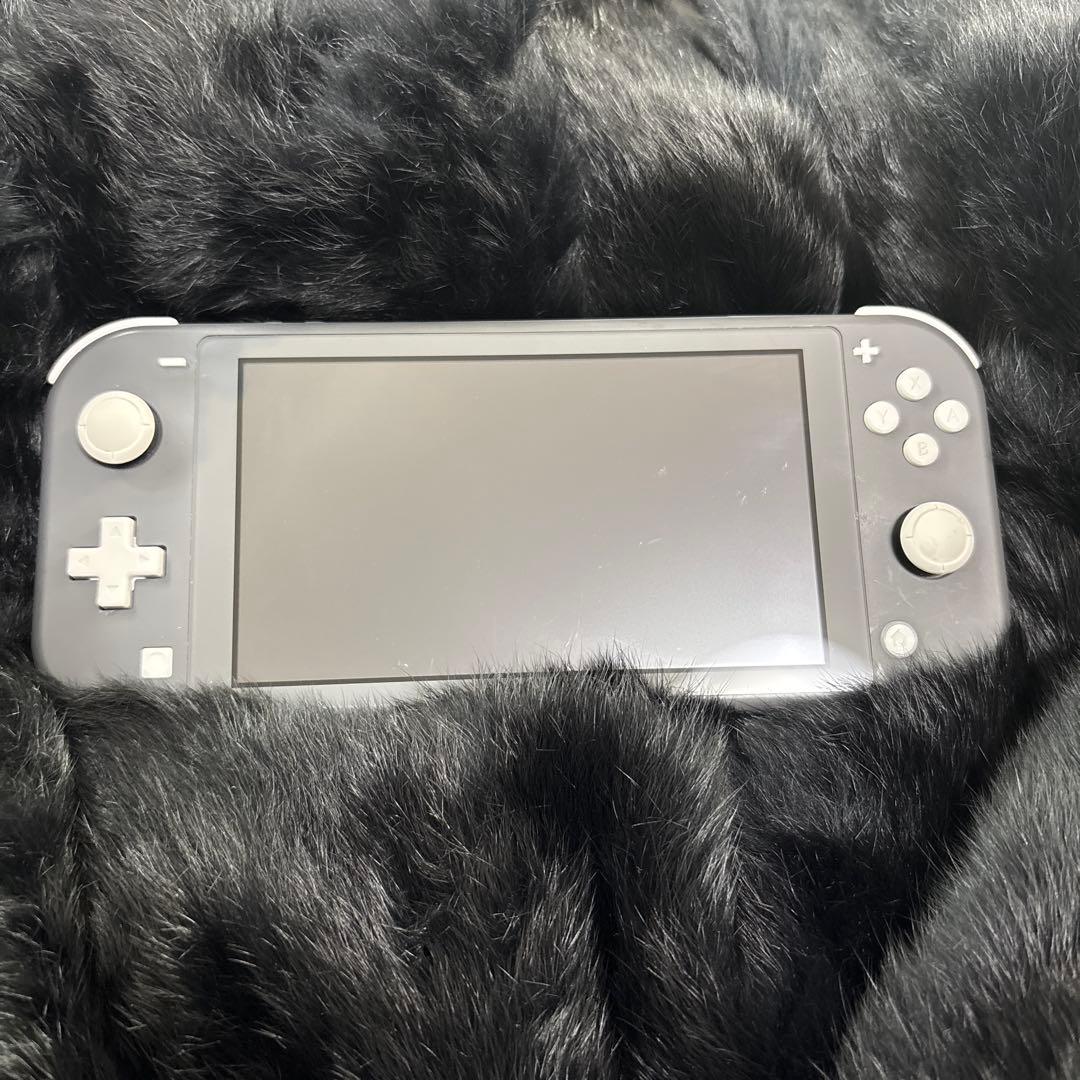 【ジャンク】Nintendo Switch Lite グレー 本体のみ
