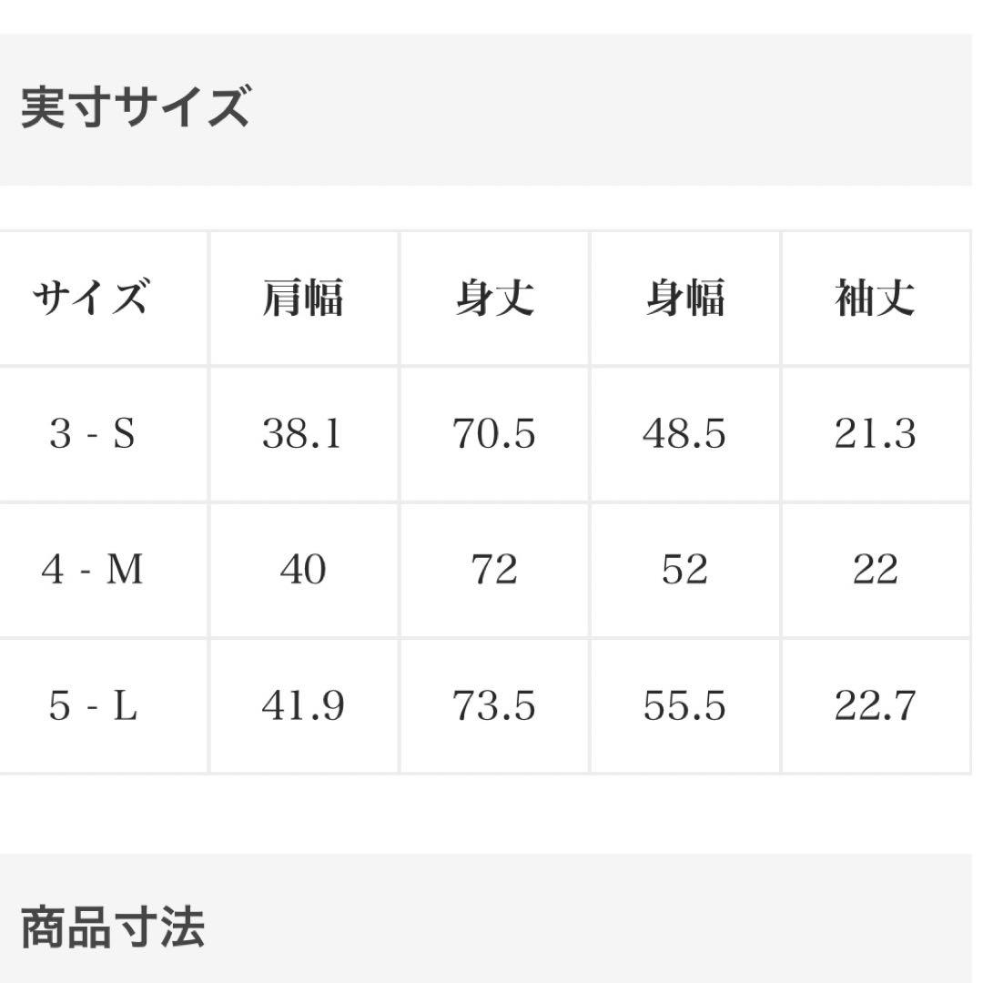 ラコステ　テニス　ジョコビッチモデル　ドライポロシャツ　サイズ4 未使用品