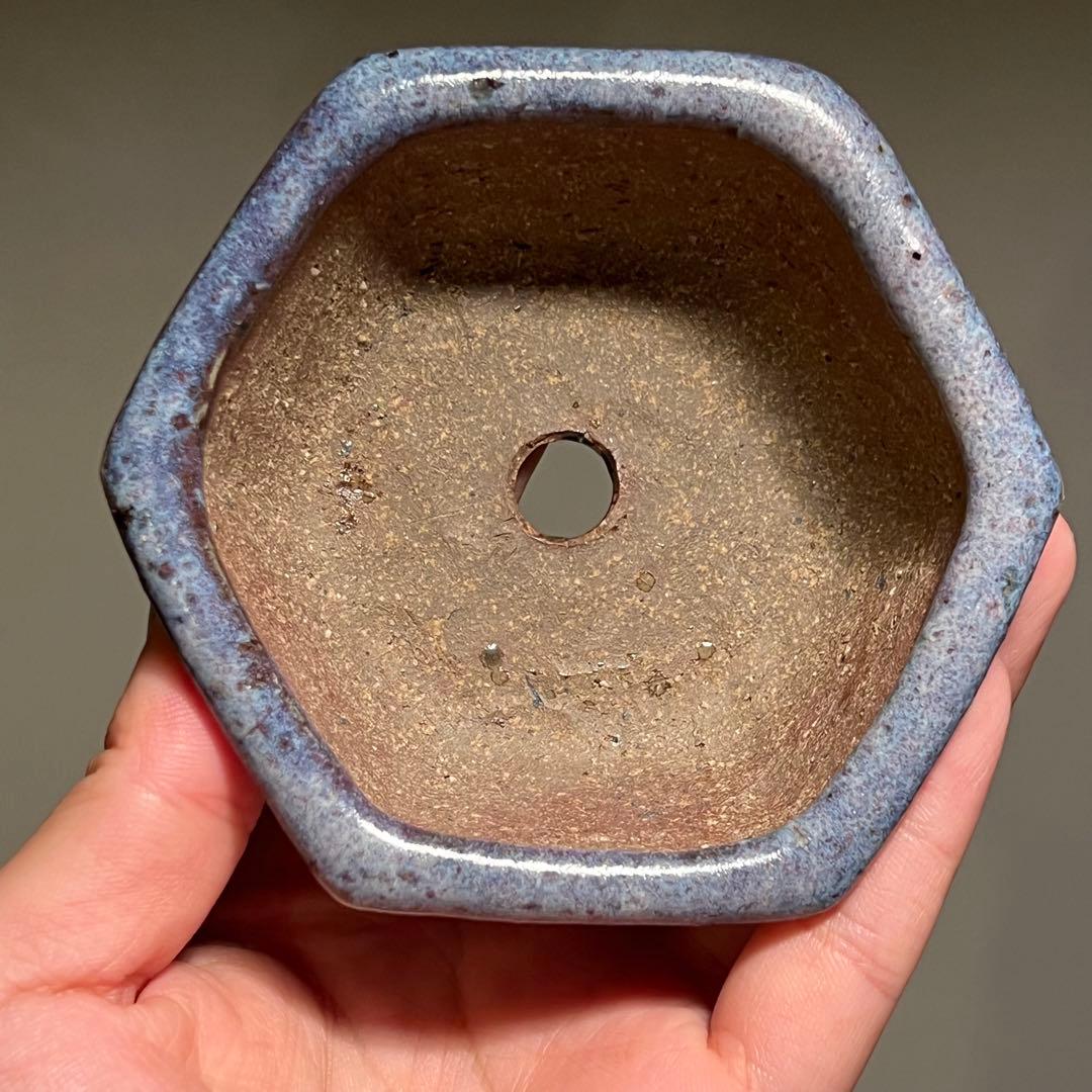824.秋直 紫均釉六角 盆栽鉢 植木鉢 10.2*9.1*4cm