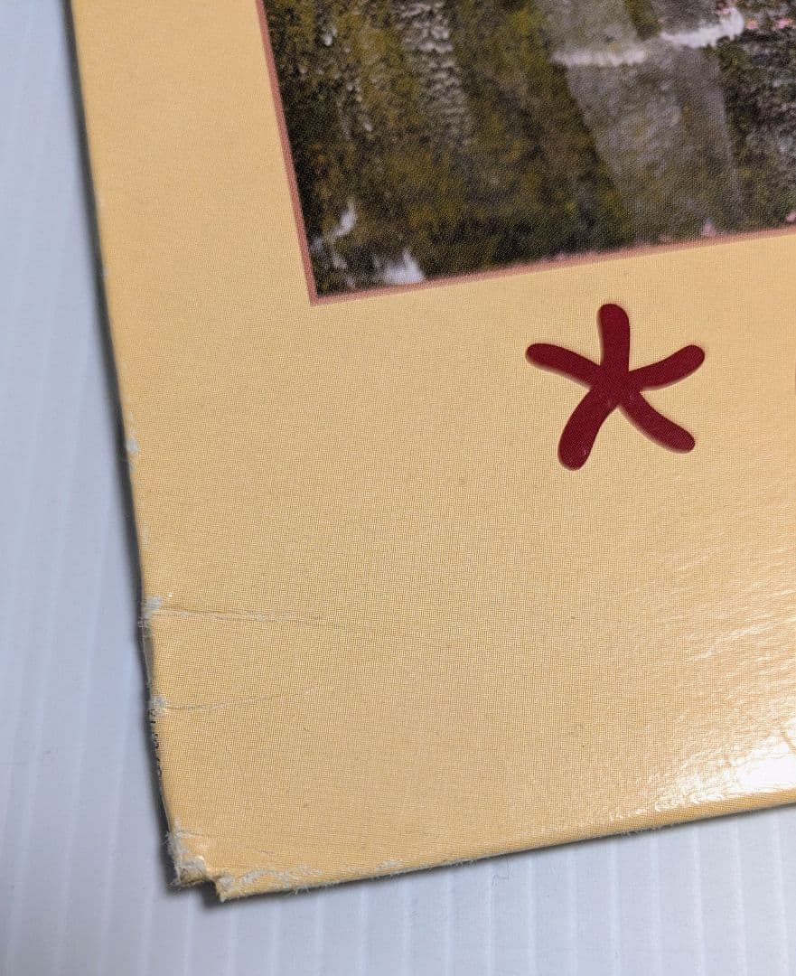 Cap'n Jazz 1stアルバム1995/USオリジナルLP エモemo