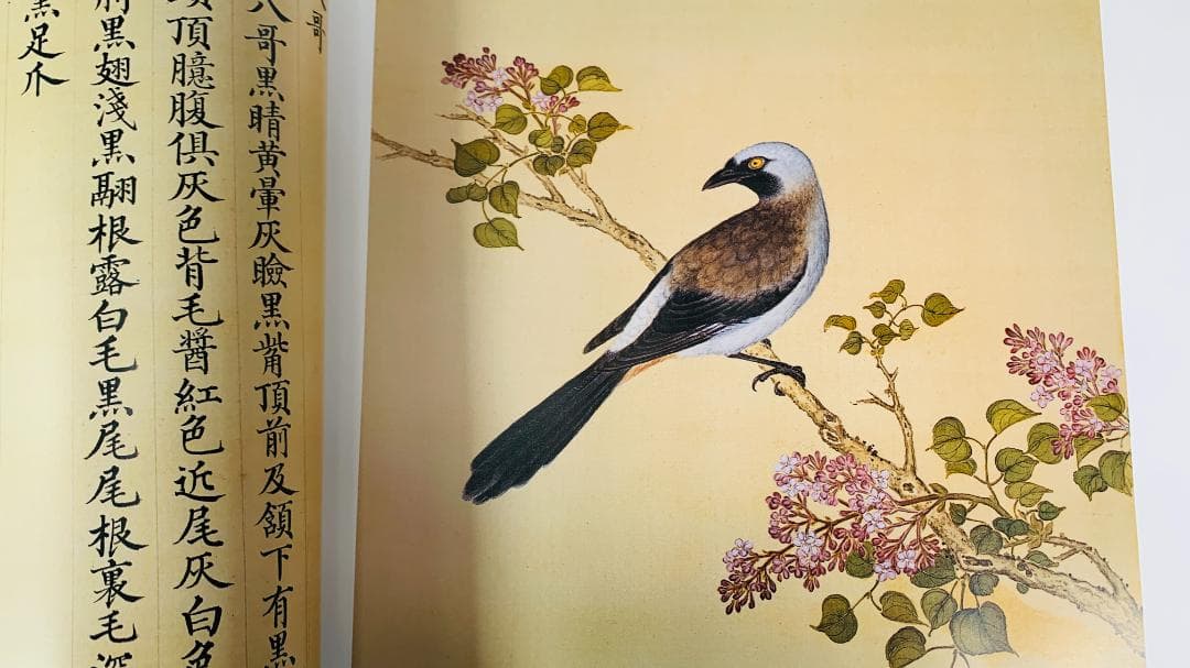 1997年初版「The Manual of Birds（故宮鳥譜）」