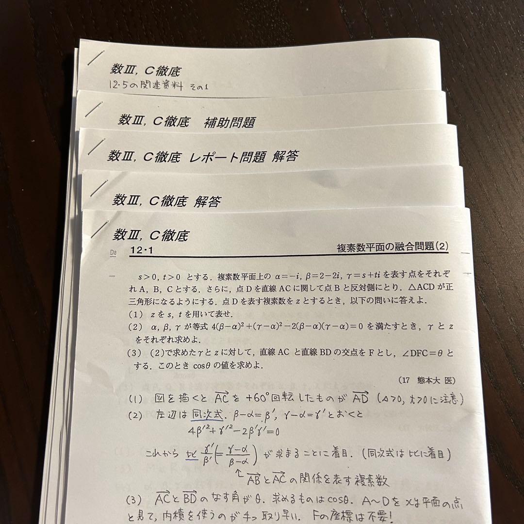 大数ゼミ 受験数学総合 数Ⅲ徹底 2024後期