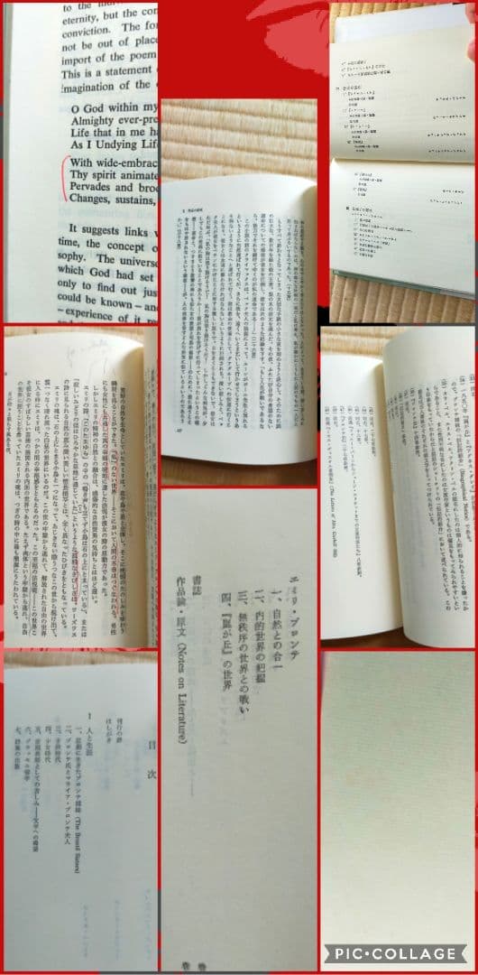 ★　希少価値絶版本文学的観点から読み解くエミリ・ブロンテと嵐が丘　大学文学研究
