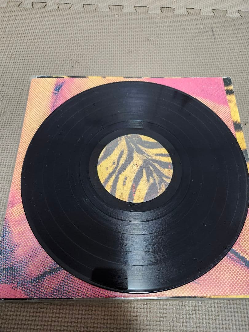 ザ・ハイロウズ ／タイガーモービル（LP、レコード、アナログ）