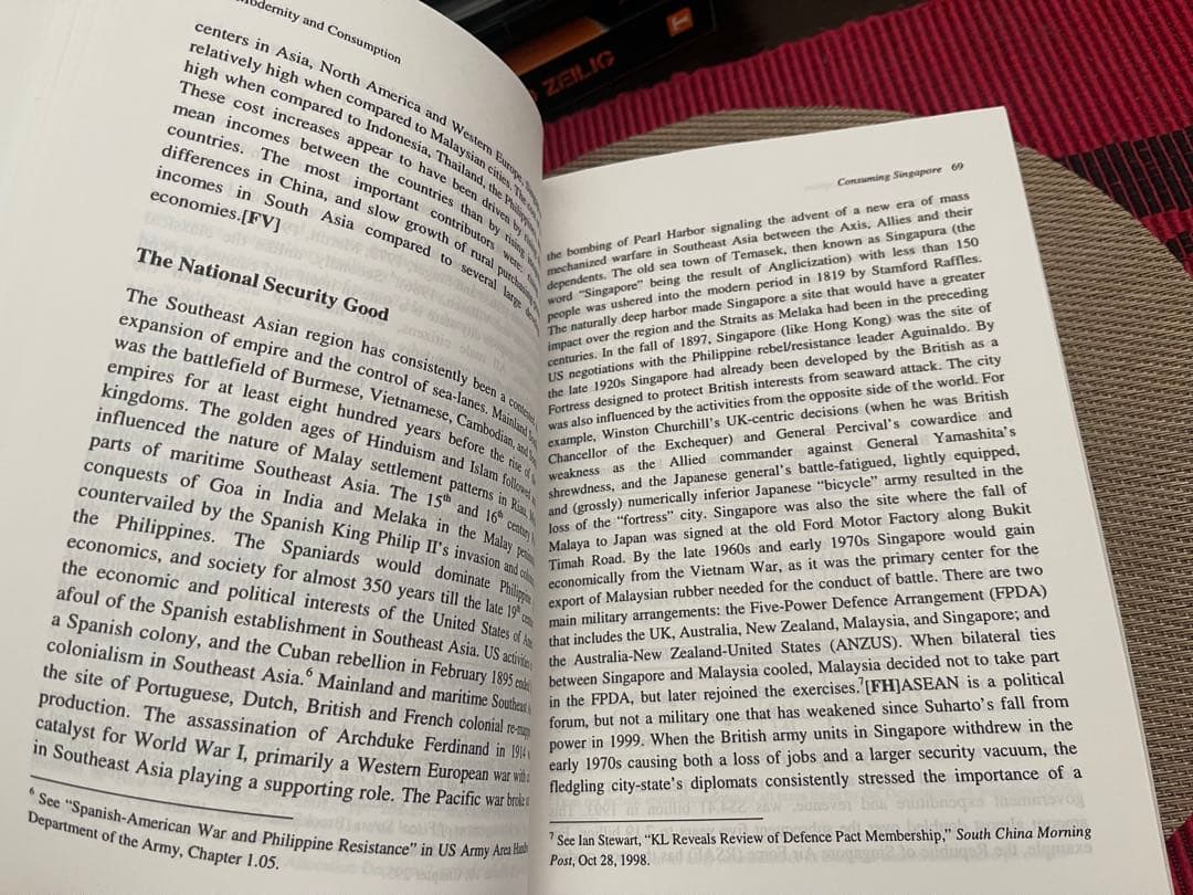 洋書 Modernity & Consumption Antonio L. Rappa